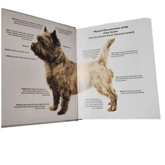 Cairn Terrier A Kennel Club Book A Comprehensive Guide To Owning And Caring For - Picture 3 of 12